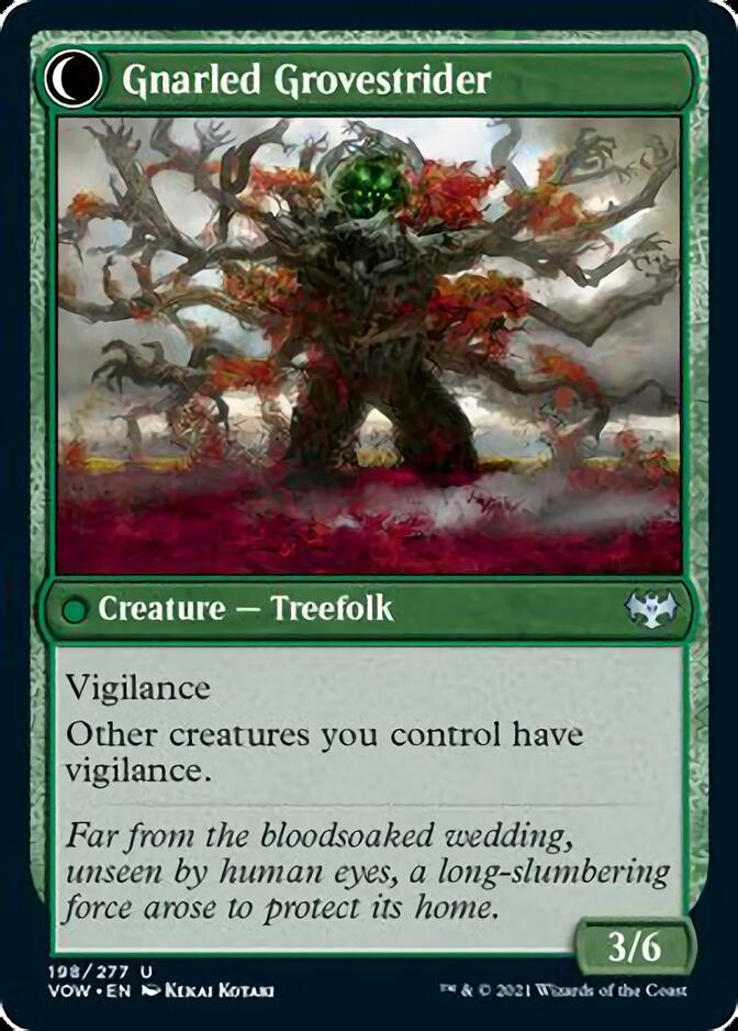 Dormant Grove // Gnarled Grovestrider [Innistrad: Crimson Vow] | Shuffle n Cut Hobbies & Games