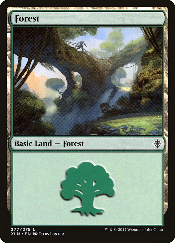 Forest (277) [Ixalan] | Shuffle n Cut Hobbies & Games