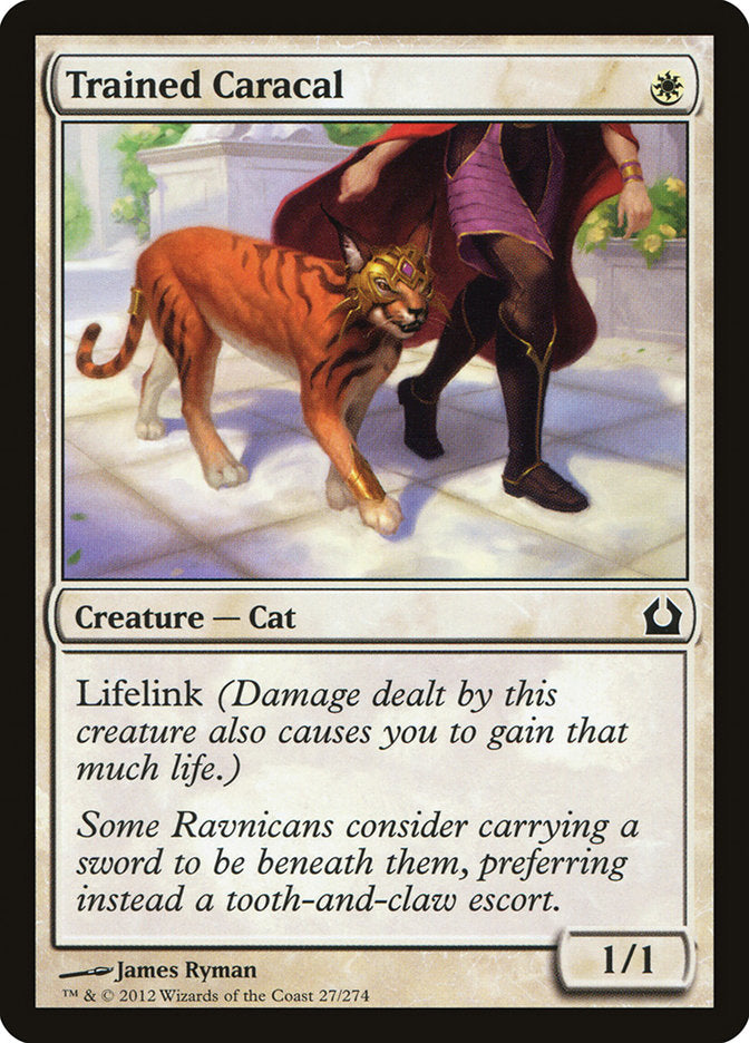 Trained Caracal [Return to Ravnica] | Shuffle n Cut Hobbies & Games