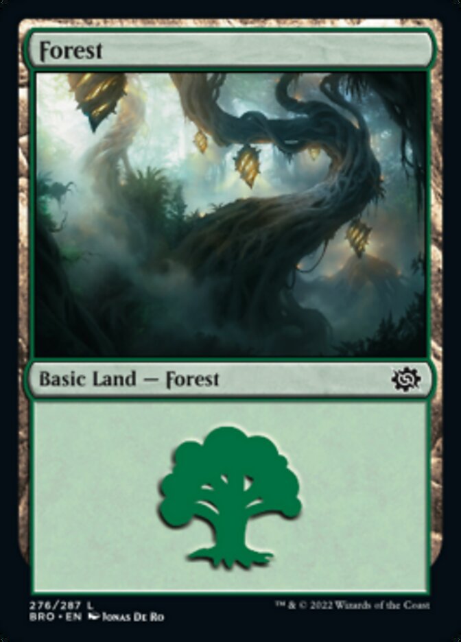 Forest (276) [The Brothers' War] | Shuffle n Cut Hobbies & Games