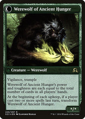 Sage of Ancient Lore // Werewolf of Ancient Hunger [Shadows over Innistrad Prerelease Promos] | Shuffle n Cut Hobbies & Games