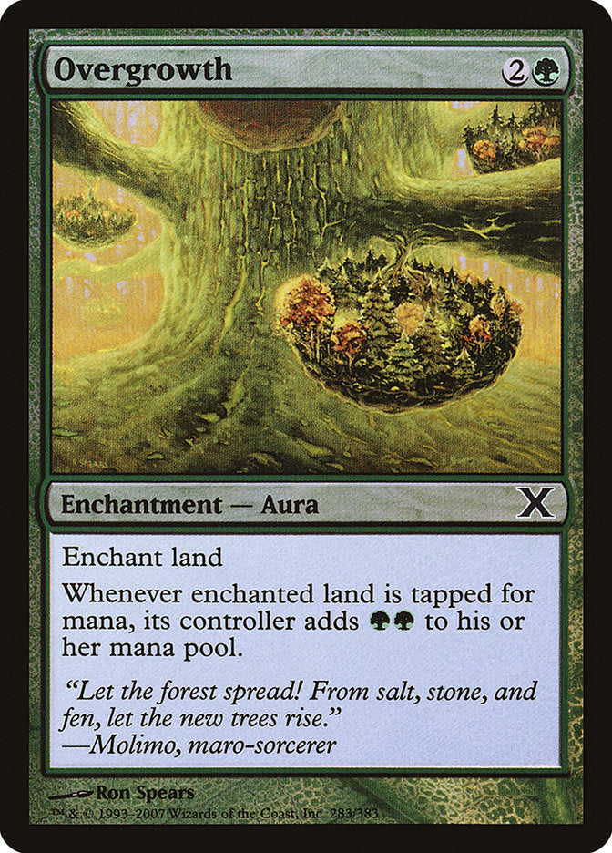 Overgrowth (Premium Foil) [Tenth Edition] | Shuffle n Cut Hobbies & Games