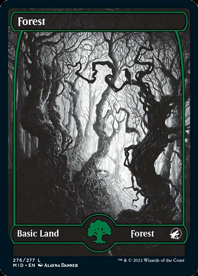 Forest (276) [Innistrad: Midnight Hunt] | Shuffle n Cut Hobbies & Games