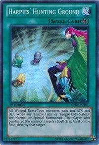 Harpies' Hunting Ground [LCJW-EN102] Super Rare | Shuffle n Cut Hobbies & Games