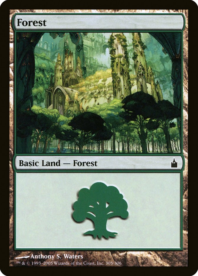 Forest (305) [Ravnica: City of Guilds] | Shuffle n Cut Hobbies & Games