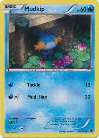 Mudkip (33/160) (Sheen Holo) [XY: Primal Clash] | Shuffle n Cut Hobbies & Games