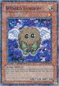 Winged Kuriboh [DT01-EN008] Common | Shuffle n Cut Hobbies & Games