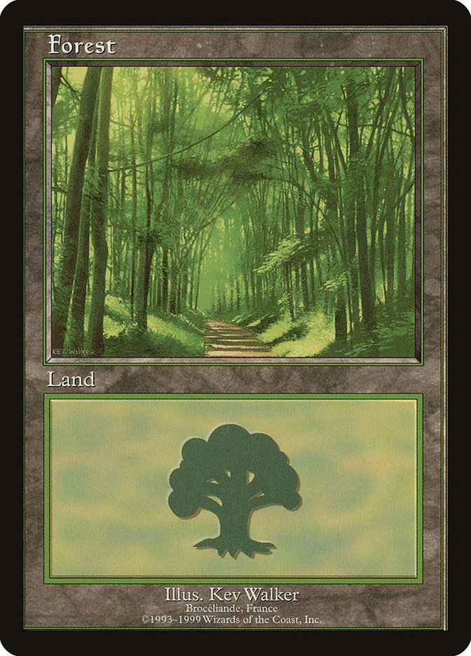 Forest (6) [European Land Program] | Shuffle n Cut Hobbies & Games