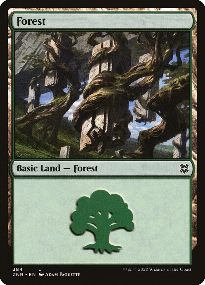 Forest (384) [Zendikar Rising] | Shuffle n Cut Hobbies & Games