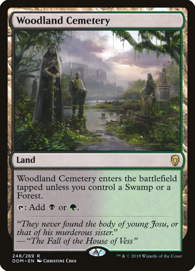 Woodland Cemetery [Dominaria] | Shuffle n Cut Hobbies & Games