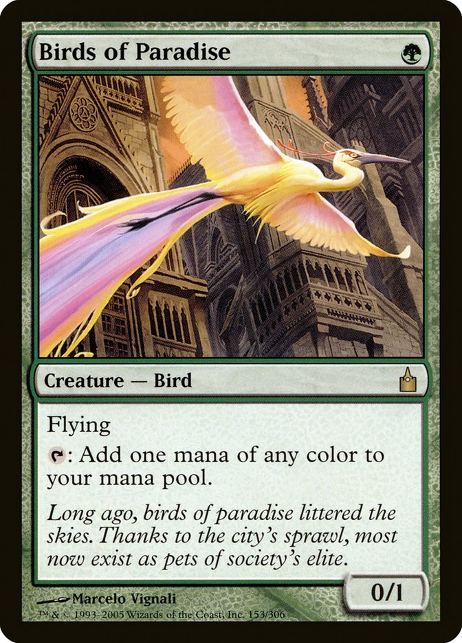 Birds of Paradise [Ravnica: City of Guilds] | Shuffle n Cut Hobbies & Games