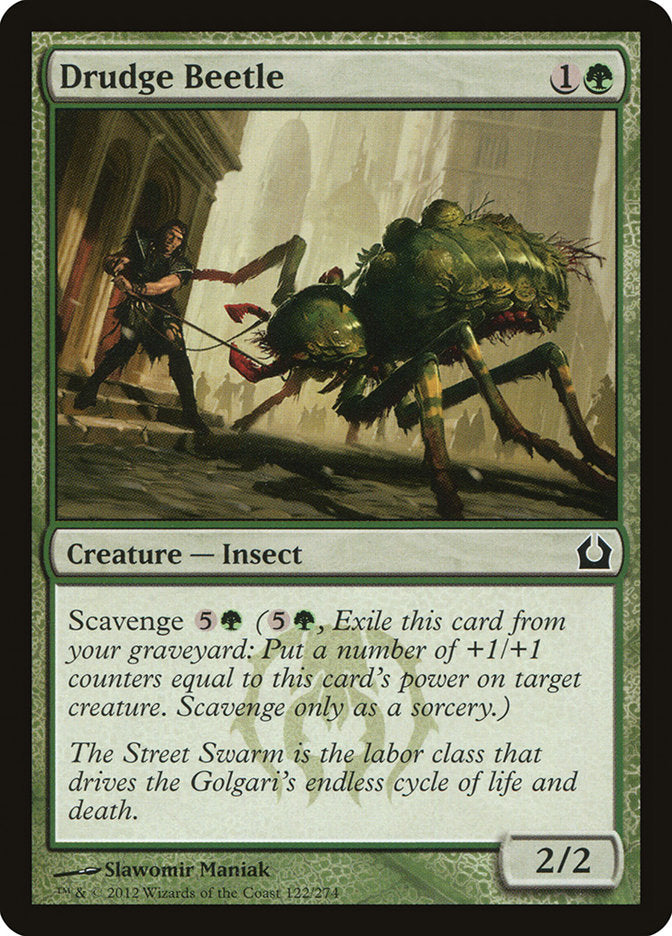 Drudge Beetle [Return to Ravnica] | Shuffle n Cut Hobbies & Games
