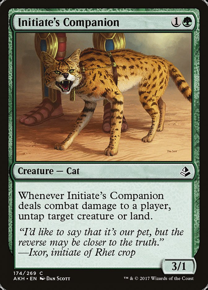 Initiate's Companion [Amonkhet] | Shuffle n Cut Hobbies & Games