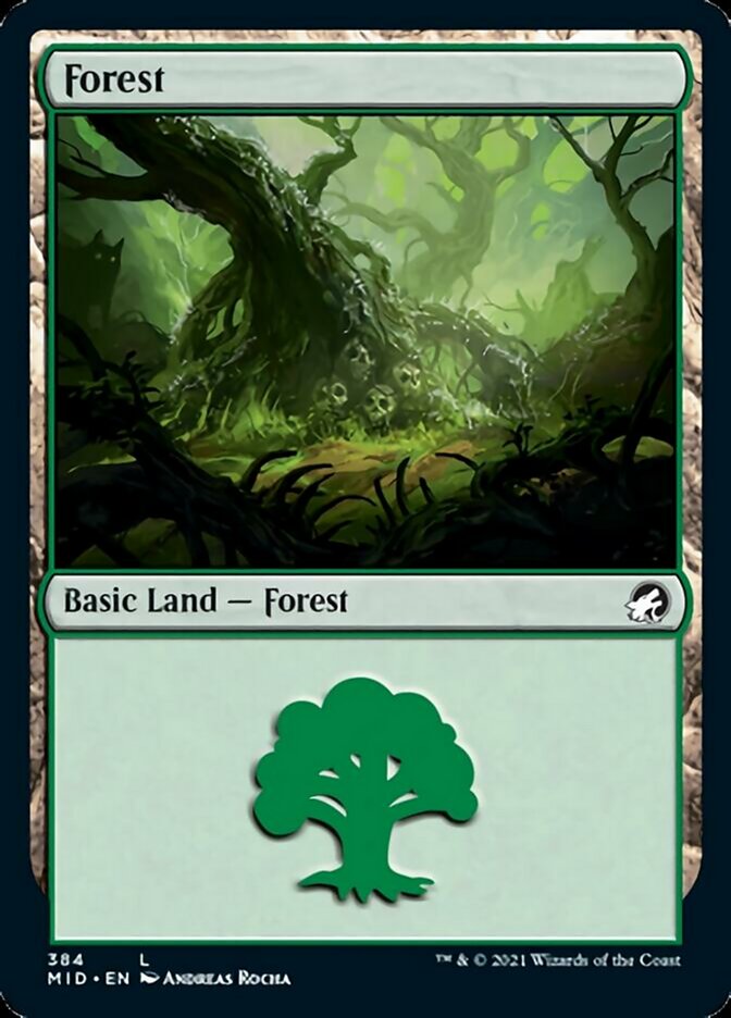 Forest (384) [Innistrad: Midnight Hunt] | Shuffle n Cut Hobbies & Games