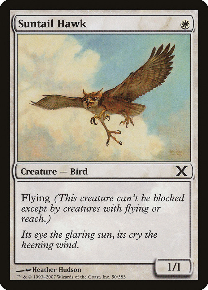 Suntail Hawk [Tenth Edition] | Shuffle n Cut Hobbies & Games