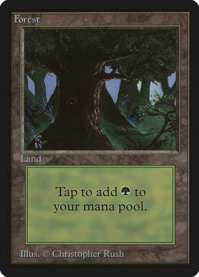 Forest (302) [Beta Edition] | Shuffle n Cut Hobbies & Games