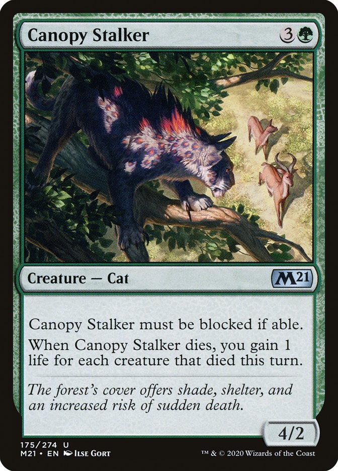 Canopy Stalker [Core Set 2021] | Shuffle n Cut Hobbies & Games