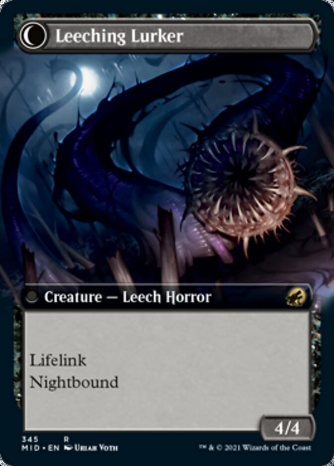 Curse of Leeches // Leeching Lurker (Extended Art) [Innistrad: Midnight Hunt] | Shuffle n Cut Hobbies & Games