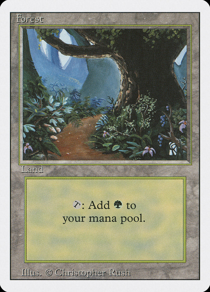 Forest (Flower Path) [Revised Edition] | Shuffle n Cut Hobbies & Games