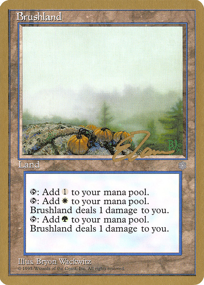 Brushland (Eric Tam) [Pro Tour Collector Set] | Shuffle n Cut Hobbies & Games