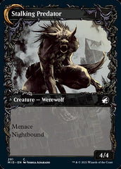 Shady Traveler // Stalking Predator (Showcase Equinox) [Innistrad: Midnight Hunt] | Shuffle n Cut Hobbies & Games