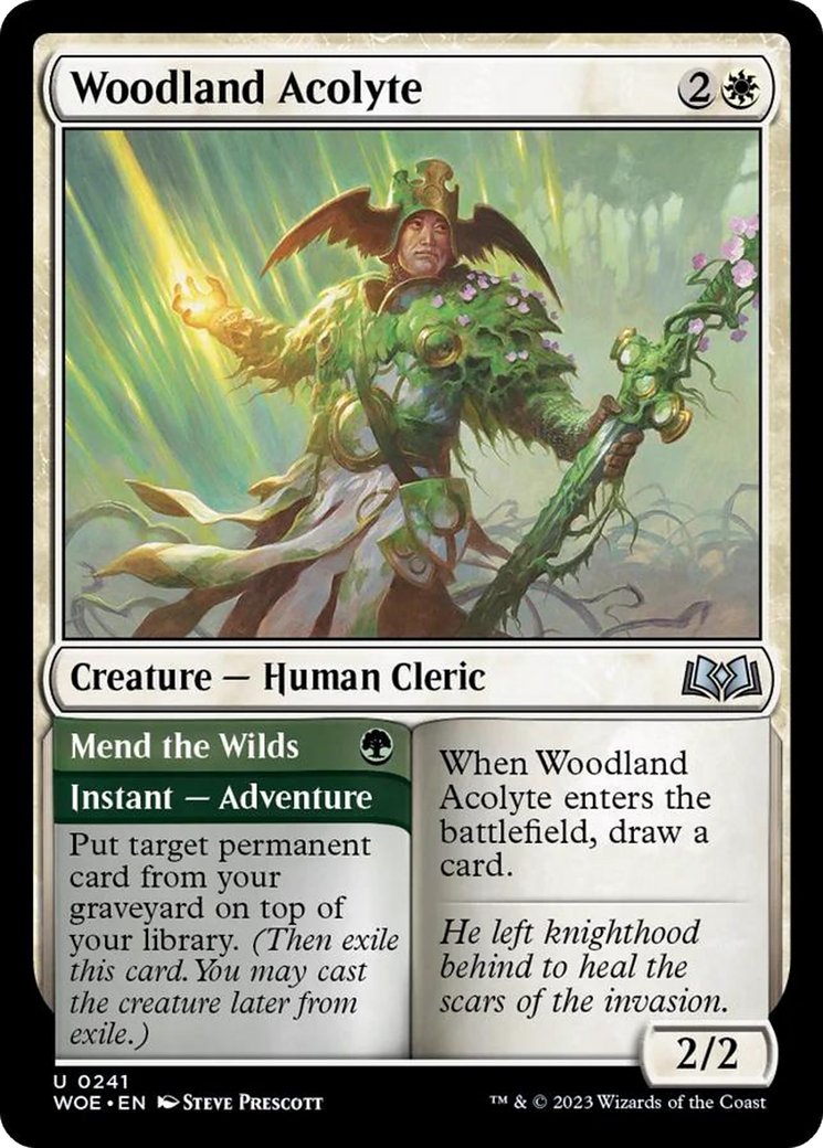 Woodland Acolyte // Mend the Wilds [Wilds of Eldraine] | Shuffle n Cut Hobbies & Games