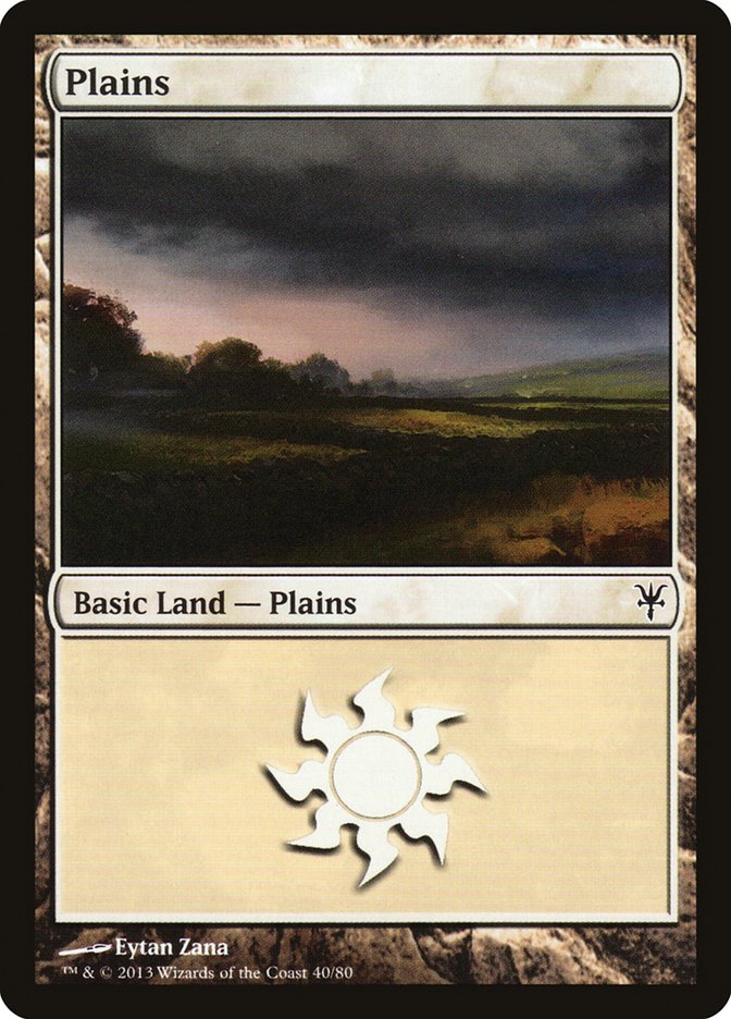 Plains (40) [Duel Decks: Sorin vs. Tibalt] | Shuffle n Cut Hobbies & Games